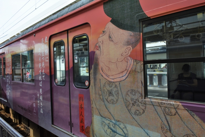 鉄道乗車記録の写真:列車・車両の様子(未乗車)(8)        「JR和歌山線の車両」