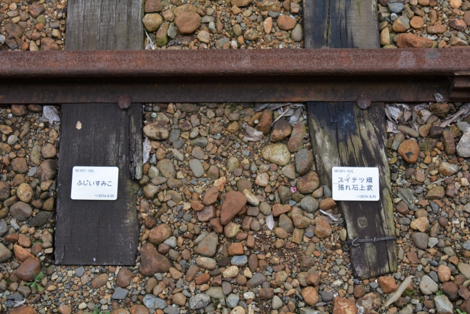 鉄道乗車記録の写真:駅舎・駅施設、様子(7)        「資金難

枕木にプレート貼れる権利」