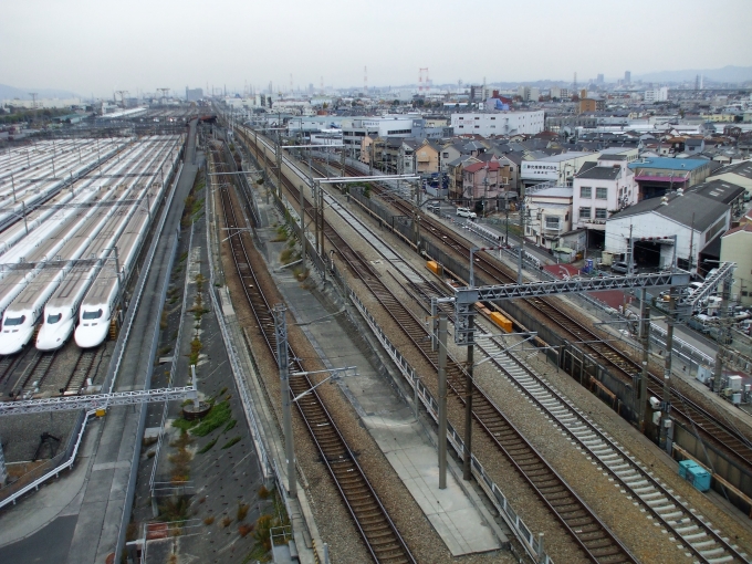 鉄道乗車記録の写真:車窓・風景(3)        「東海道新幹線を超えます」