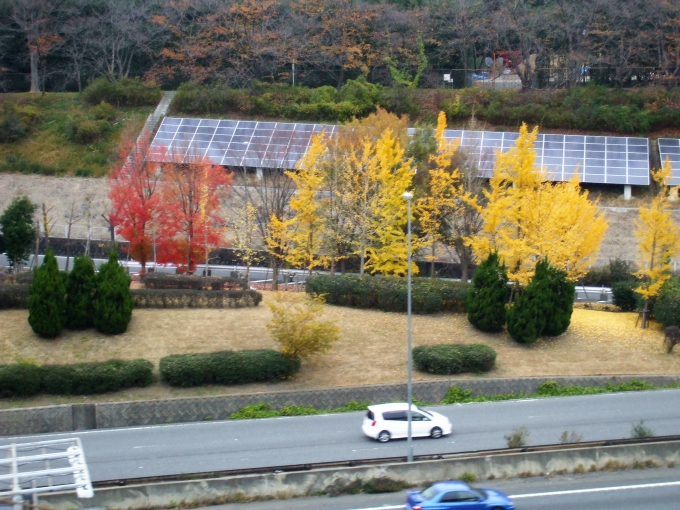 鉄道乗車記録の写真:車内設備、様子(8)        「すっかり秋めいてきました。

ここは桜の名所でもあります。」