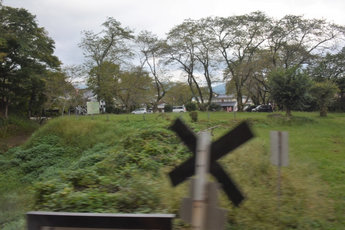 鉄道乗車記録の写真:車窓・風景(16)        「長篠城を訪問した時この踏切からここを走る列車を撮ったことがあったので狙ってました。」
