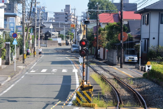鉄道乗車記録の写真:車窓・風景(5)        「踏切から先が軌道併用区間です。
最徐行に入ります。」