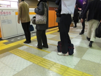 大岡山駅から浦和美園駅の乗車記録(乗りつぶし)写真