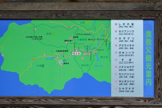 鉄道乗車記録の写真:駅舎・駅施設、様子(3)        「桜の季節の観光案内図」