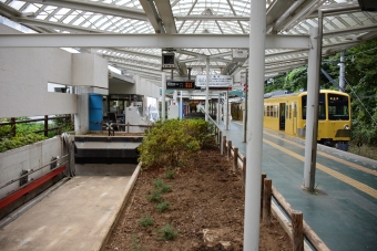 多摩湖駅から西武球場前駅:鉄道乗車記録の写真