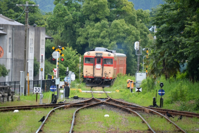 鉄道乗車記録の写真:列車・車両の様子(未乗車)(13)        