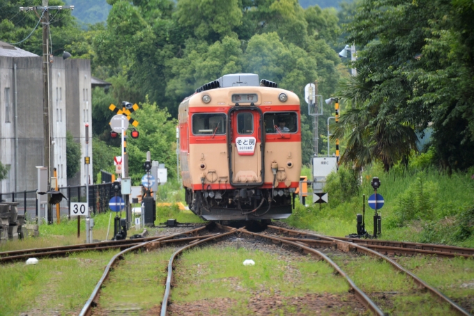鉄道乗車記録の写真:列車・車両の様子(未乗車)(14)        