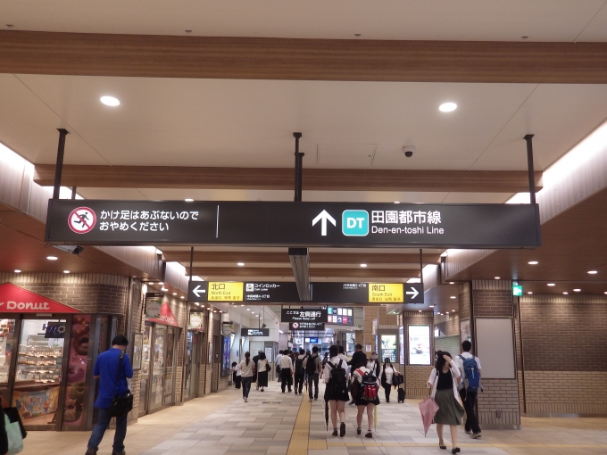 鉄道乗車記録の写真:駅舎・駅施設、様子(1)        「小田急江ノ島線から乗換通路」
