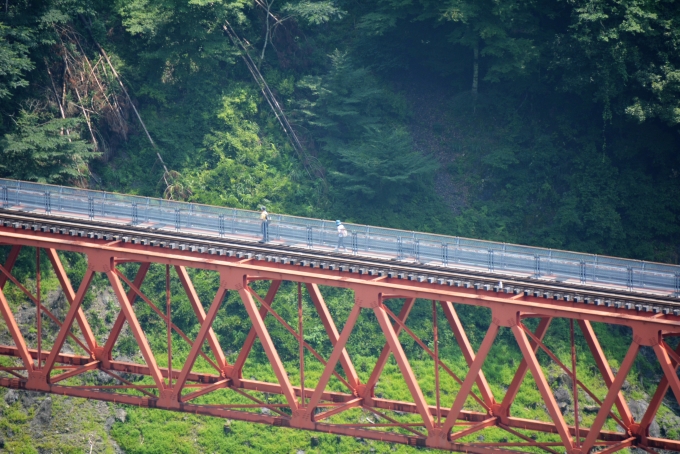 鉄道乗車記録の写真:旅の思い出(22)        「バスで下りてきて奥大井湖上展望所から鉄橋を渡る人」