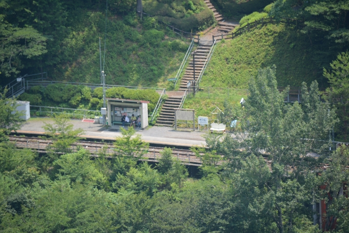 鉄道乗車記録の写真:旅の思い出(23)        「バスで下りてきて奥大井湖上展望所から奥大井湖上駅」