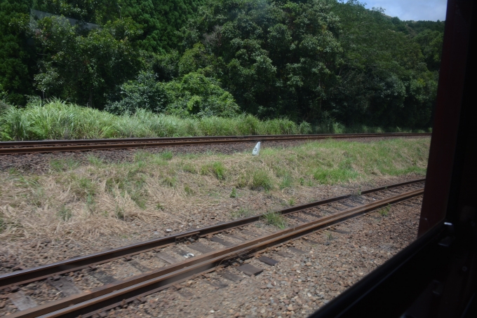 鉄道乗車記録の写真:車窓・風景(21)        「真幸駅までのスイッチバック区間」