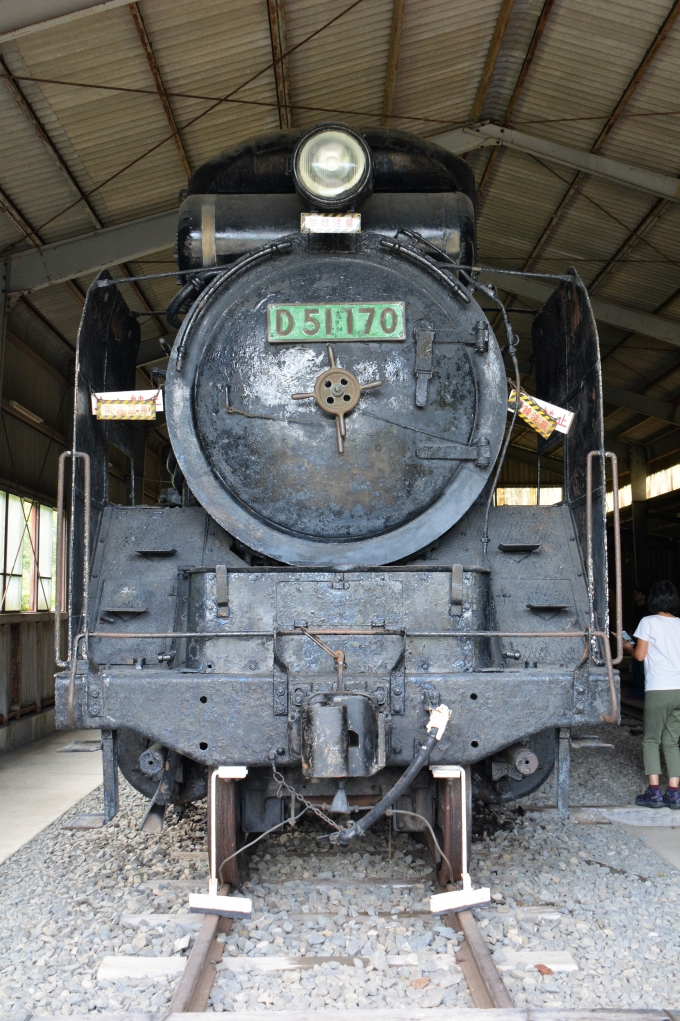 鉄道乗車記録の写真:駅舎・駅施設、様子(32)        「保存された蒸気機関車」