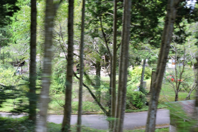 鉄道乗車記録の写真:車窓・風景(25)        「十島菅原神社重文本殿が林の間から見えてます。
ここも球磨川のすぐそばなので水害被害は受けたと思います。

ここは2014年8月に訪問していました。」