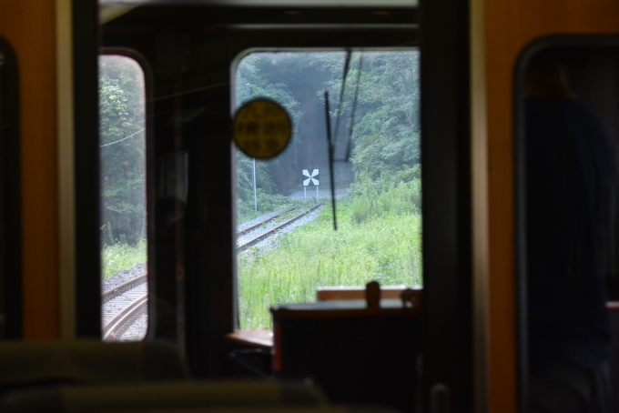 鉄道乗車記録の写真:車窓・風景(37)        「前回乗りに来た時と明らかに周囲の風景が変わっていてこの辺りも地崩れしたことが判りました。」