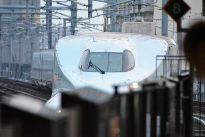 鉄道乗車記録の写真:列車・車両の様子(未乗車)(10)        「見送ったみずほ612号」