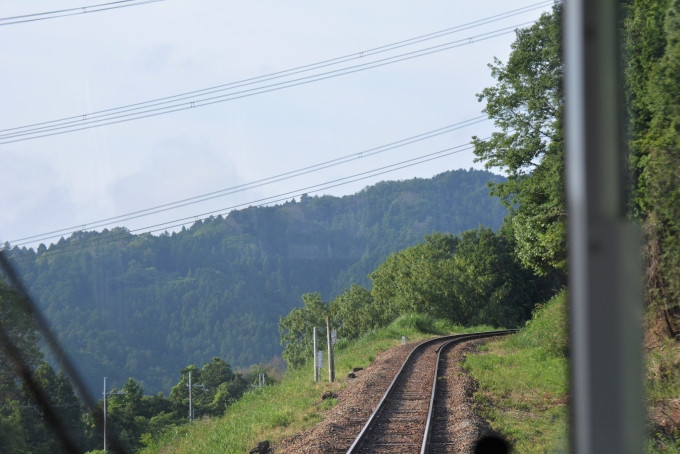 鉄道乗車記録の写真:車窓・風景(16)        「急激な登り坂を登っていきます。」