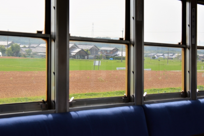 鉄道乗車記録の写真:車窓・風景(9)        「刈り取り前の麦畑」