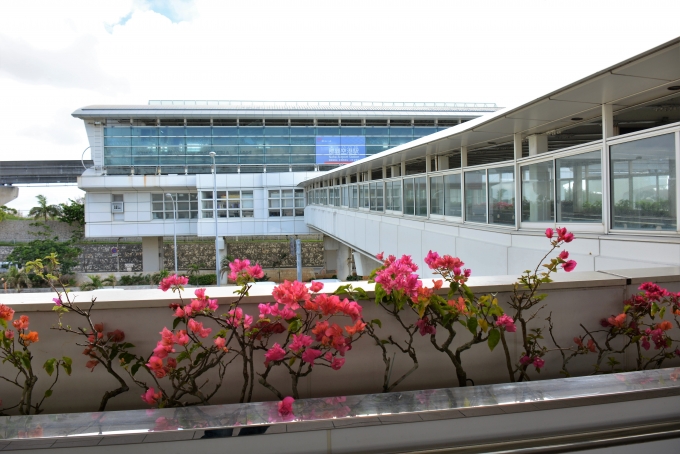 鉄道乗車記録の写真:駅舎・駅施設、様子(2)        「12月だというのにさすが沖縄、花があります。」