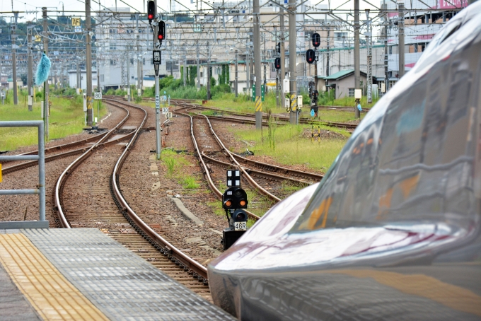 鉄道乗車記録の写真:乗車した列車(外観)(9)        「新幹線用のレールと在来線のレールが並んでいます。

ここでは3線併用レールにはなっていません。」