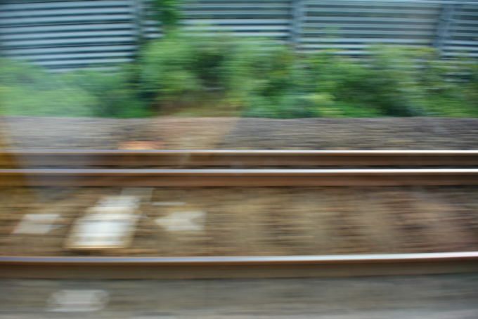 鉄道乗車記録の写真:車窓・風景(3)        「三線式線路」