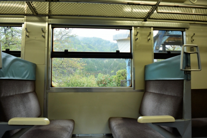 鉄道乗車記録の写真:車窓・風景(10)        「椿が咲いていました。」