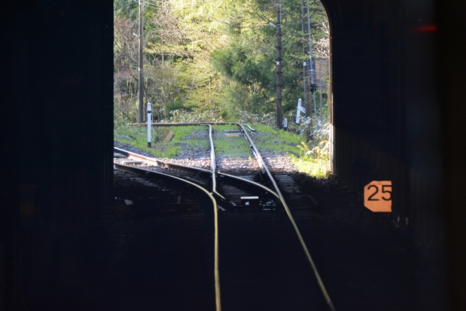 鉄道乗車記録の写真:車窓・風景(24)        「今度は左側の線路へ曲がります。」