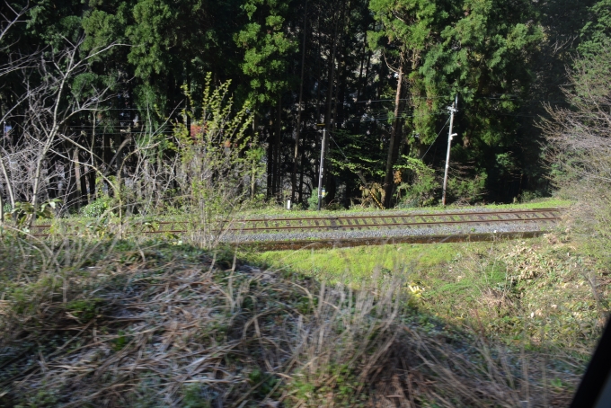 鉄道乗車記録の写真:車窓・風景(26)        「右下の二段目の線路はこれだけの高低差がありました。一段目はその更にだいぶ下にあります。」