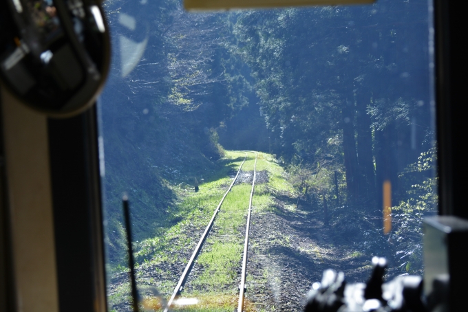 鉄道乗車記録の写真:車窓・風景(27)        「次の三井野原までまだまだ上っていきます。」