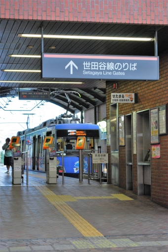 三軒茶屋駅から若林駅の乗車記録(乗りつぶし)写真
