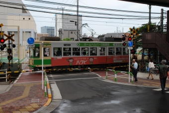 飛鳥山停留場から王子駅前停留場の乗車記録(乗りつぶし)写真