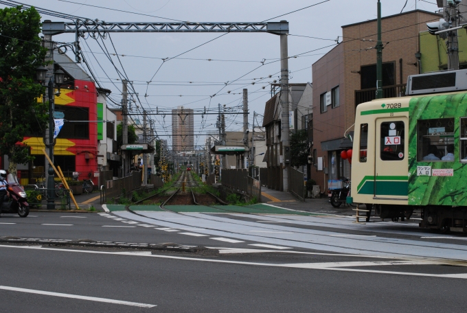 鉄道乗車記録の写真:列車・車両の様子(未乗車)(4)        「飛鳥山から早稲田側にまた専用軌道に入ります。」