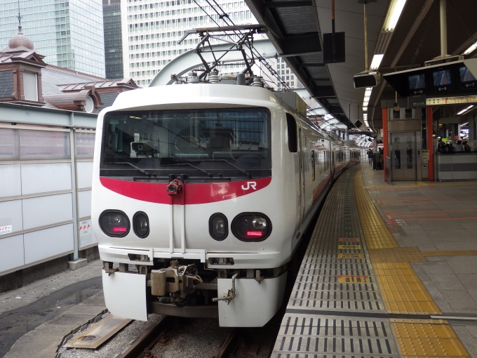 鉄道乗車記録の写真:列車・車両の様子(未乗車)(1)          「東京駅丸の内側駅舎を撮ろうと中央線ホームへ上がったらら思いもかけずこのEAST-iEが停車してました。」