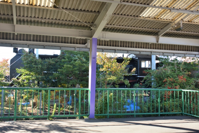 鉄道乗車記録の写真:駅舎・駅施設、様子(9)        「駅横には蒸気機関車D51 691が保存されています。」