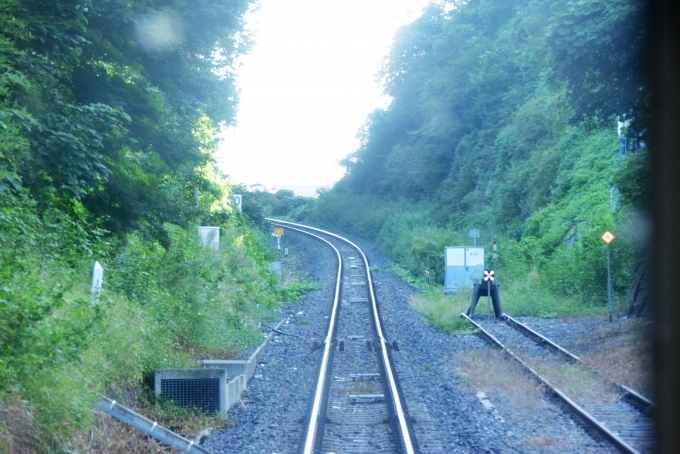鉄道乗車記録の写真:車窓・風景(4)        「水戸駅を出てすぐ水戸城の空堀だったところに線路を式設したところを走ります。」