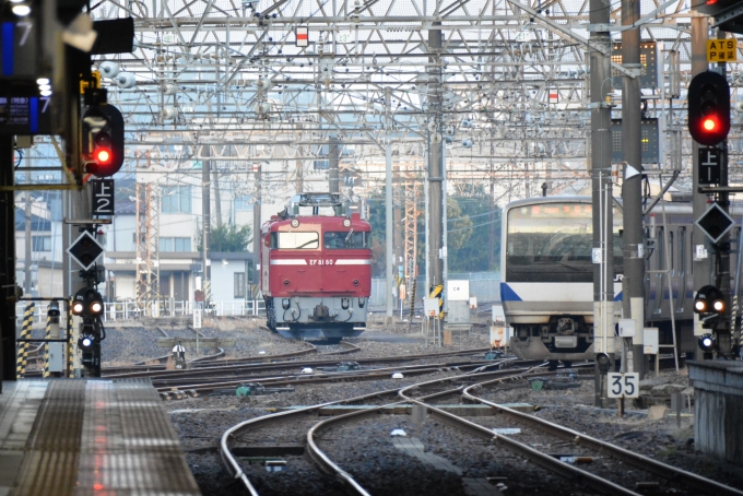 鉄道乗車記録の写真:駅舎・駅施設、様子(10)        「電気機関車EF81-80」