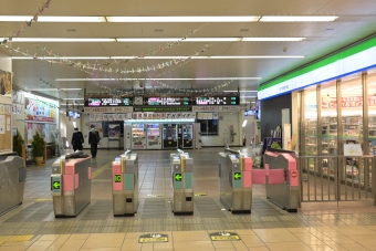 東武動物公園駅から南栗橋駅の乗車記録(乗りつぶし)写真