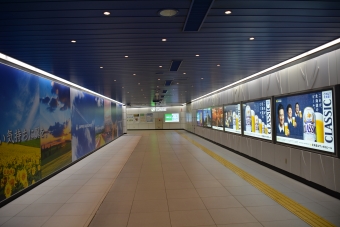 新千歳空港駅から南千歳駅:鉄道乗車記録の写真