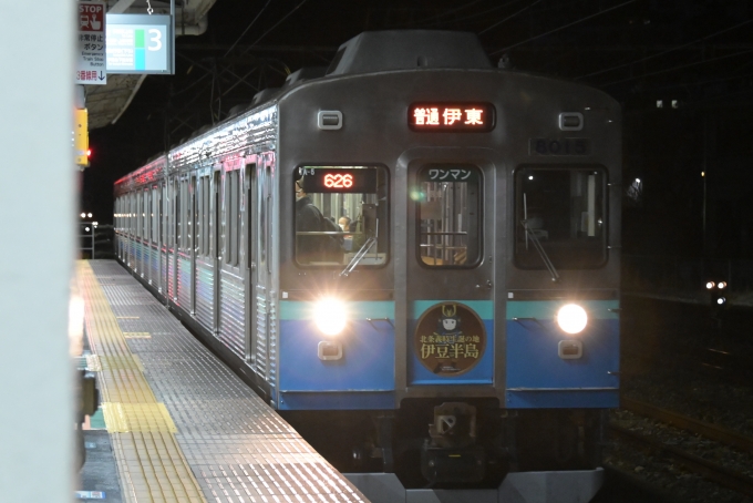 鉄道乗車記録の写真:乗車した列車(外観)(3)        「折り返し伊豆急下田行」