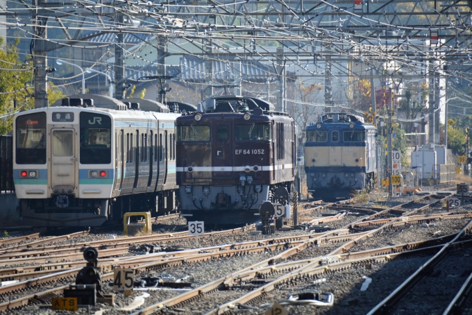 鉄道乗車記録の写真:駅舎・駅施設、様子(20)        