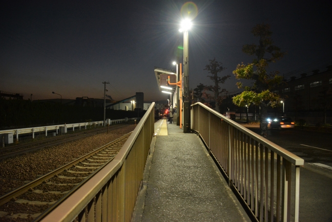 鉄道乗車記録の写真:駅舎・駅施設、様子(3)        「そんなに多くない退勤者が列車を待ってます。」