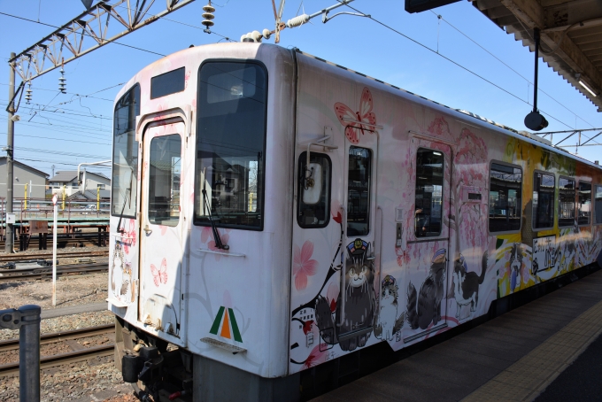 鉄道乗車記録の写真:乗車した列車(外観)(24)        