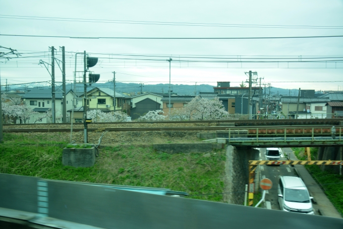 鉄道乗車記録の写真:車窓・風景(17)        「さきほど通った信越線の線路」