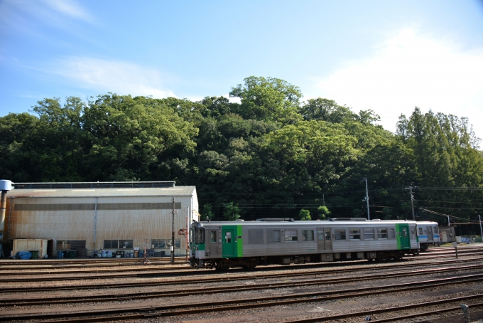 鉄道乗車記録の写真:駅舎・駅施設、様子(14)        「背後の丘は徳島城」