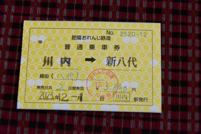鉄道乗車記録の写真:きっぷ(30)        