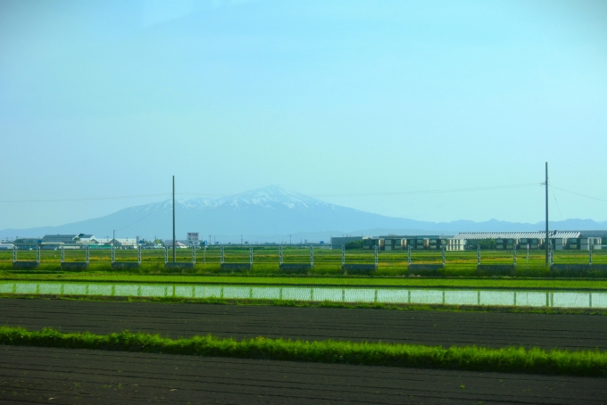 鉄道乗車記録の写真:車窓・風景(14)        「水田越しの鳥海山」