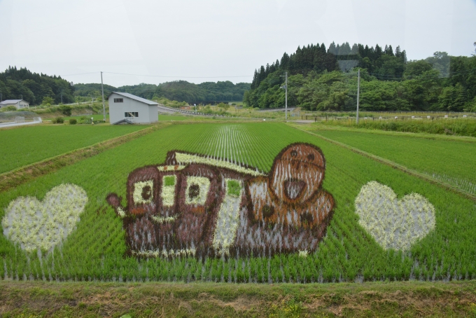 鉄道乗車記録の写真:車窓・風景(11)        「田んぼアート」