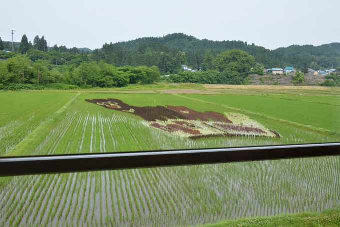 鉄道乗車記録の写真:車窓・風景(20)        「田んぼアート」