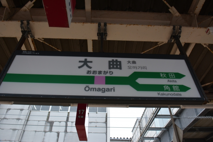 鉄道乗車記録の写真:駅名看板(25)        「新幹線は平面スイッチバックで次の駅へ向かいます。」