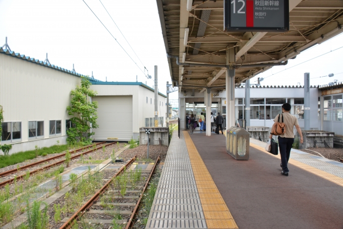 鉄道乗車記録の写真:駅舎・駅施設、様子(26)        