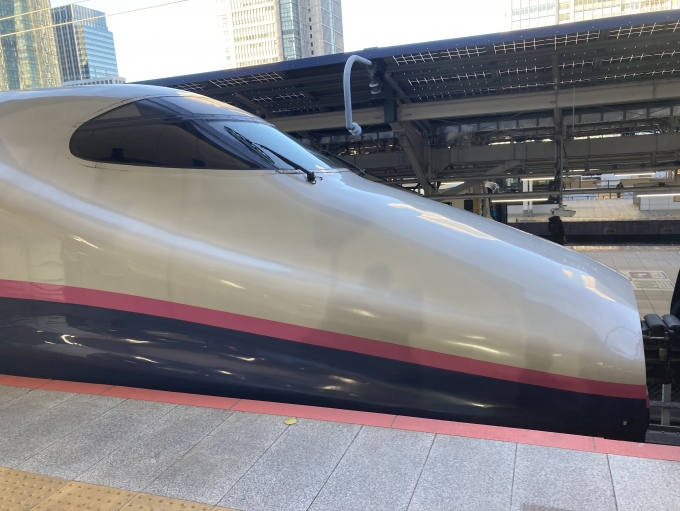 鉄道乗車記録の写真:乗車した列車(外観)(1)     「乗車した新幹線です」